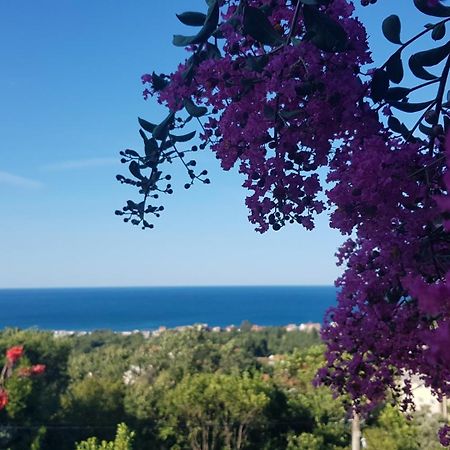 Vila Pogled Petrovac Dış mekan fotoğraf