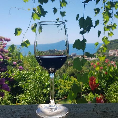 Vila Pogled Petrovac Dış mekan fotoğraf