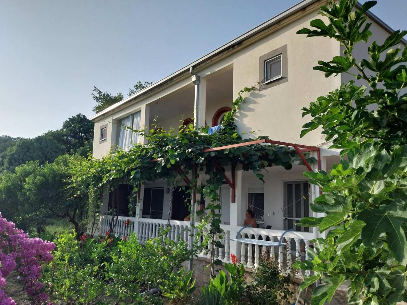 Vila Pogled Petrovac Dış mekan fotoğraf