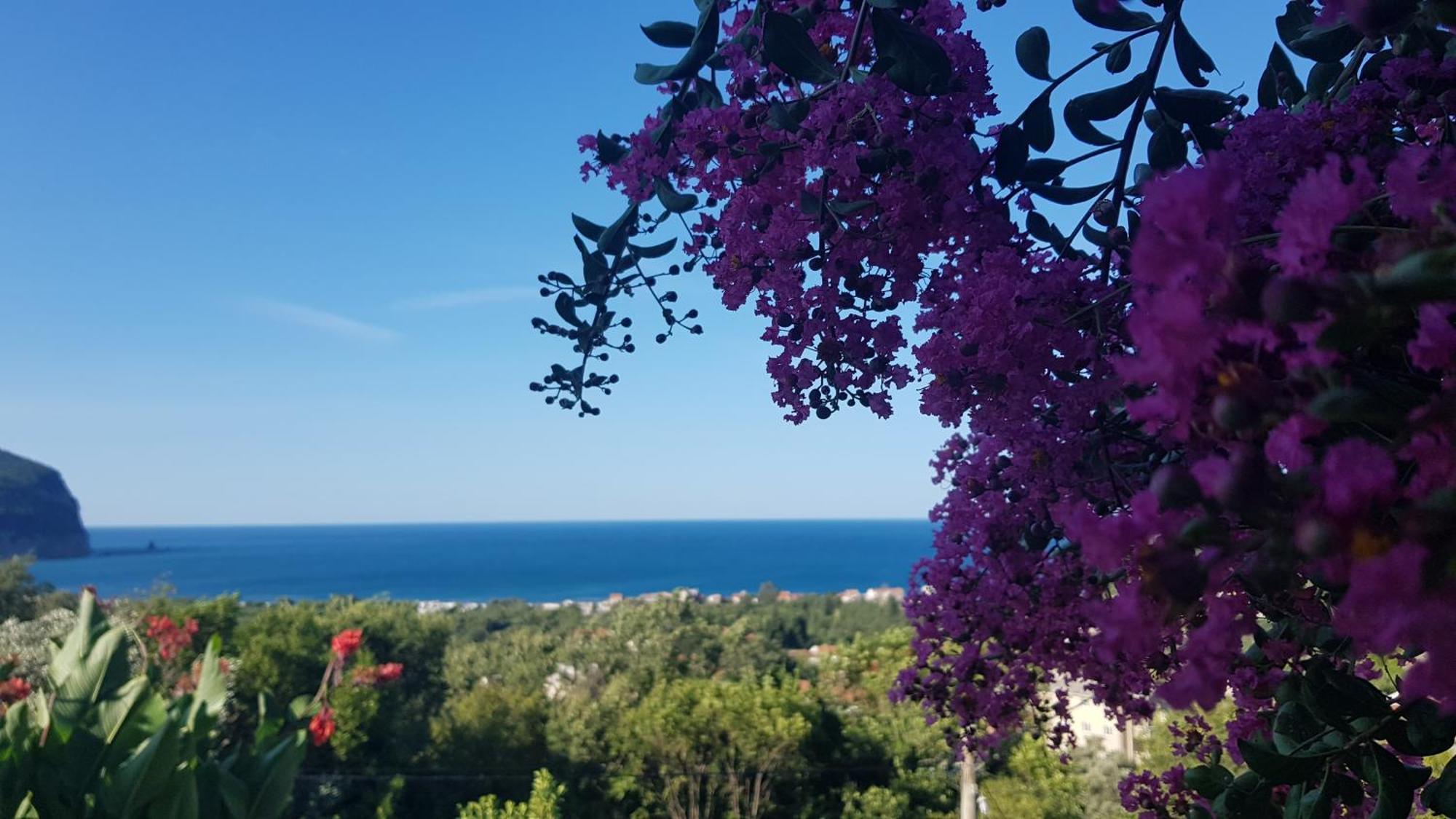 Vila Pogled Petrovac Dış mekan fotoğraf