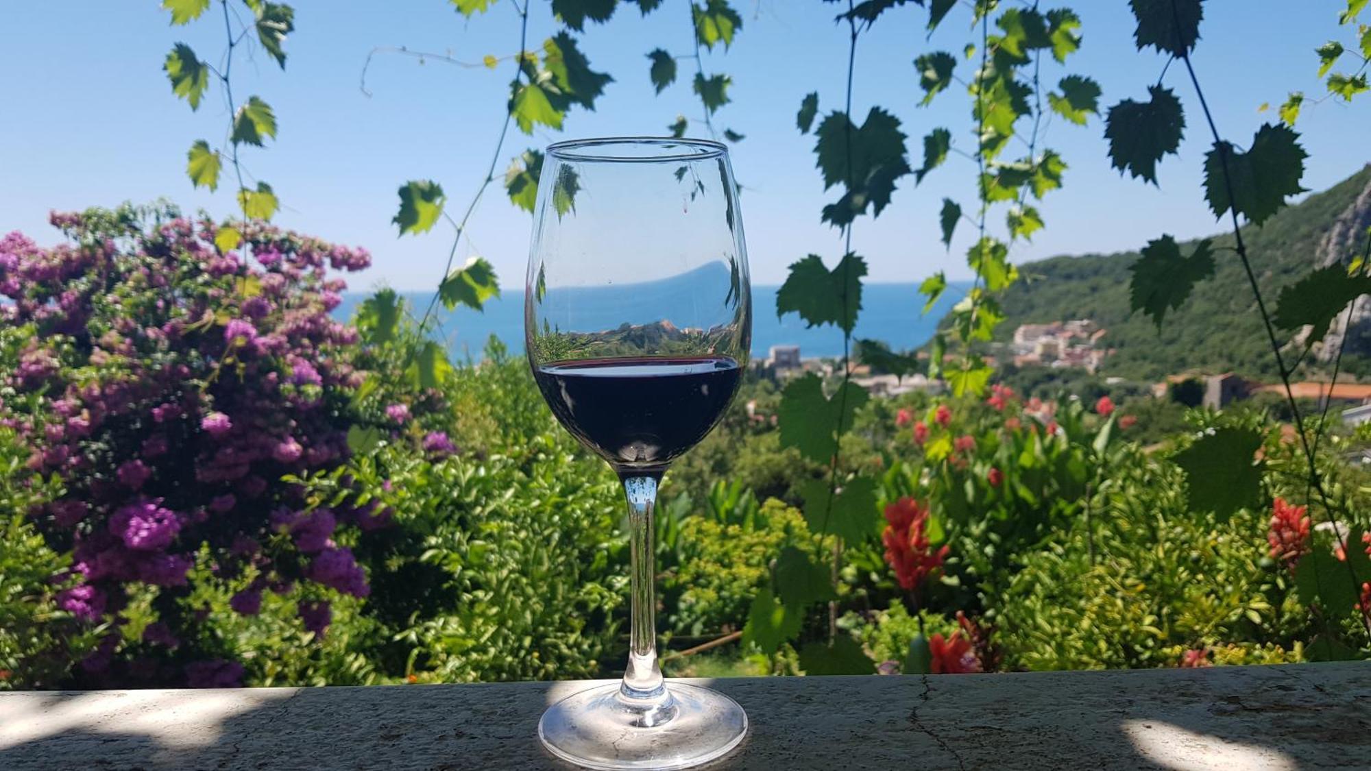 Vila Pogled Petrovac Dış mekan fotoğraf
