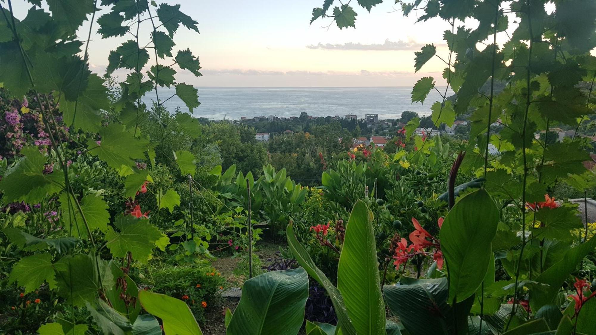 Vila Pogled Petrovac Dış mekan fotoğraf