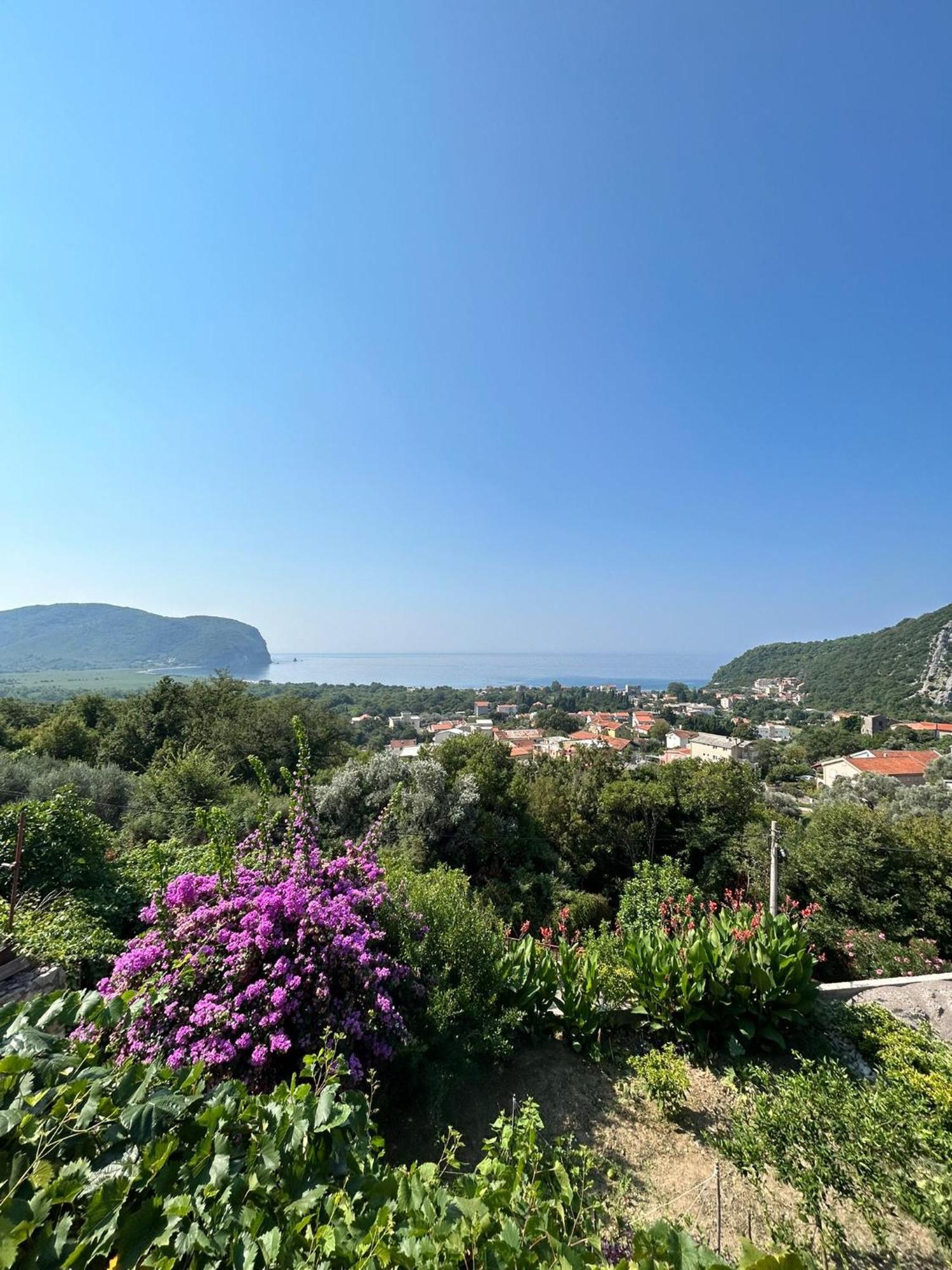 Vila Pogled Petrovac Dış mekan fotoğraf